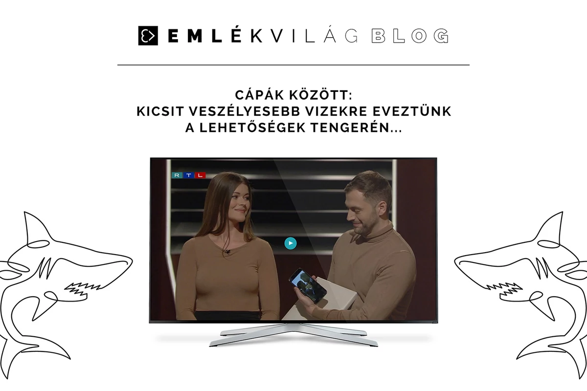 Cápák között