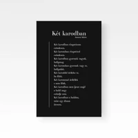 Kép 2/4 - Radnóti Miklós: Két karodban
